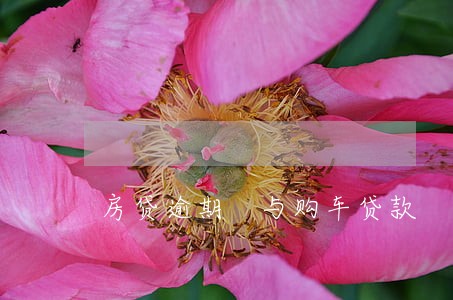 房贷逾期 与购车贷款